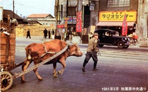 1951年　秋葉原中央通り